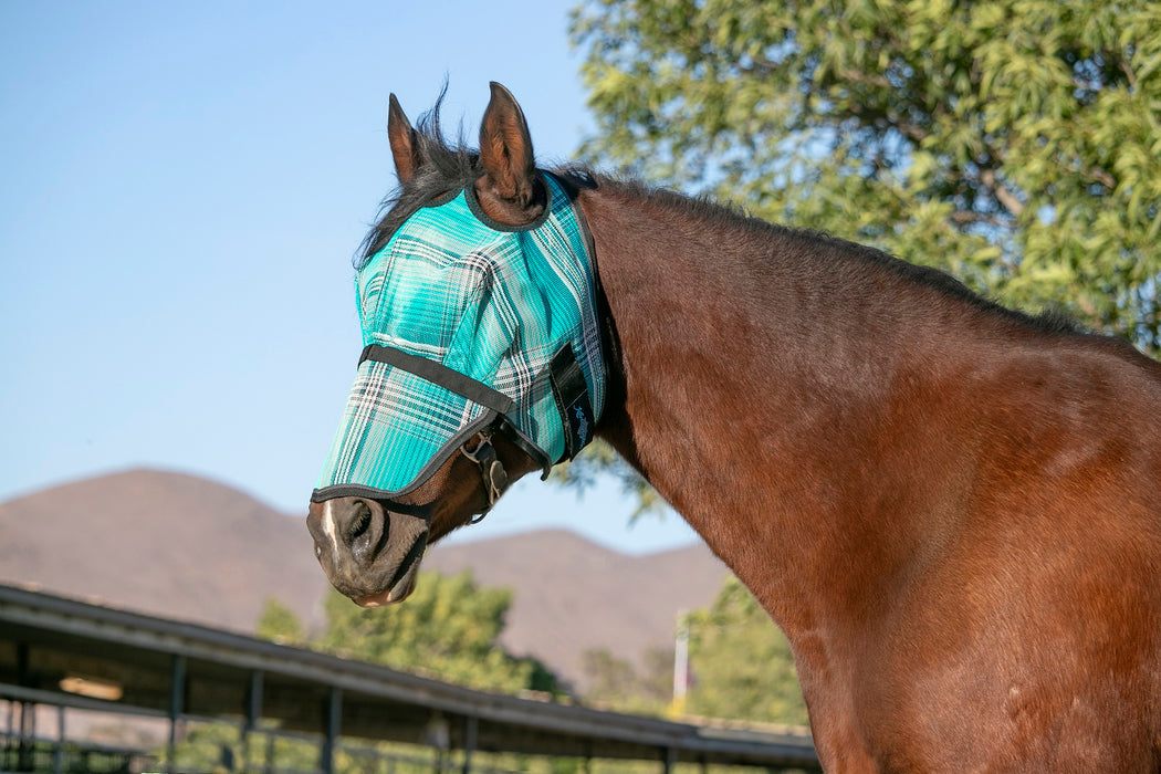 Fly Mask with Removable Nose - Dual Ear Holes