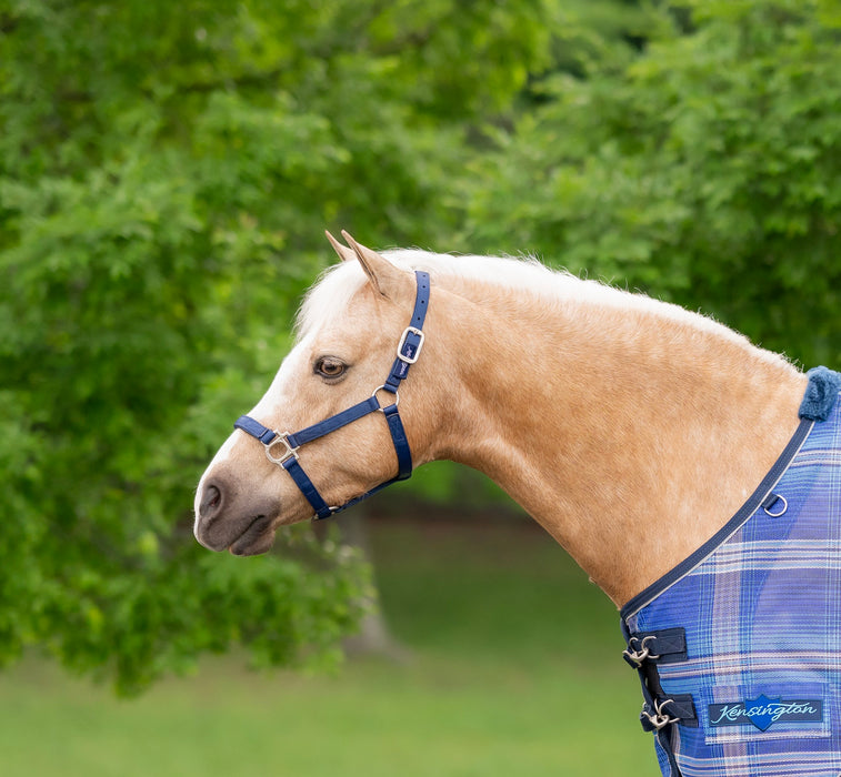Standard Nylon Halter - Mini & Pony