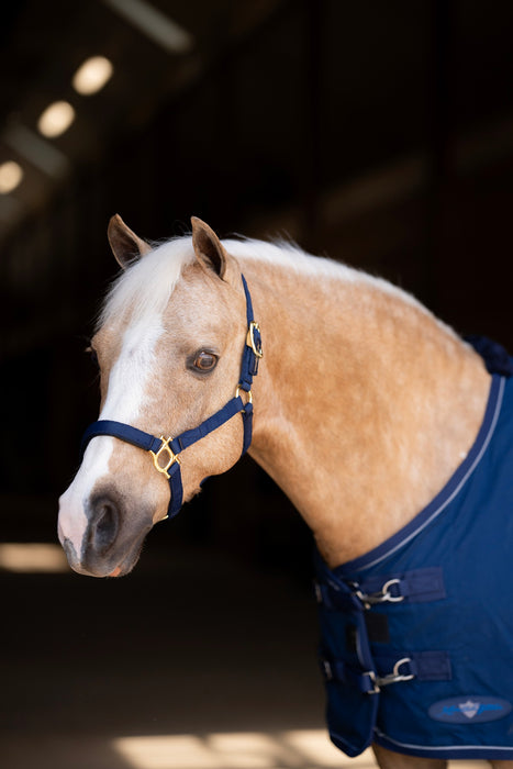 Standard Nylon Halter - Mini & Pony