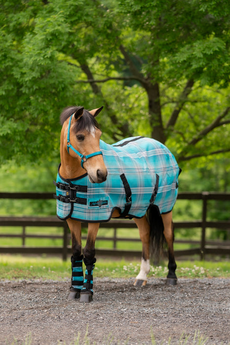 Standard Nylon Halter - Mini & Pony
