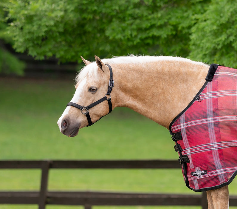 Standard Nylon Halter - Mini & Pony