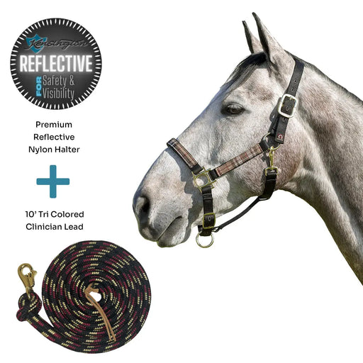 Bundle: Reflective Nylon Halter & 10' Clinician Lead Kensington Protective Products