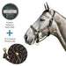 Bundle: Reflective Nylon Halter & 10' Clinician Lead Kensington Protective Products