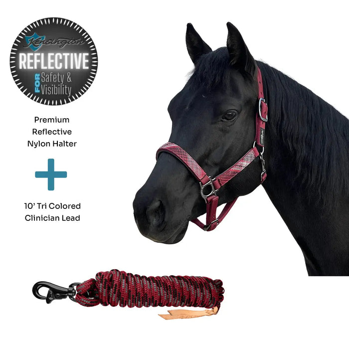 Bundle: Reflective Nylon Halter & 10' Clinician Lead Kensington Protective Products
