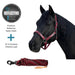 Bundle: Reflective Nylon Halter & 10' Clinician Lead Kensington Protective Products