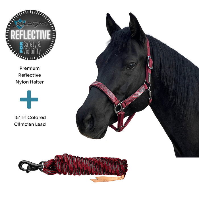 Bundle: Reflective Breakaway Nylon Halter & 15' Clinician Lead