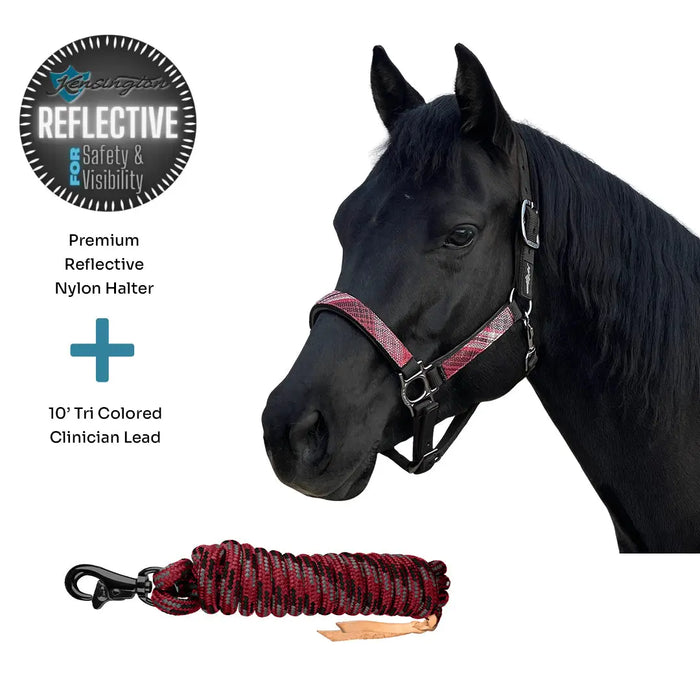 Bundle: Reflective Nylon Halter & 10' Clinician Lead Kensington Protective Products