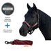 Bundle: Reflective Nylon Halter & 10' Clinician Lead Kensington Protective Products