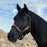 Premium Reflective Nylon Breakaway Halter