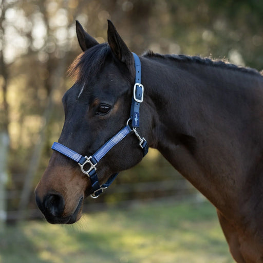 Reflective Nylon Halter with Textliene Kensington Protective Products