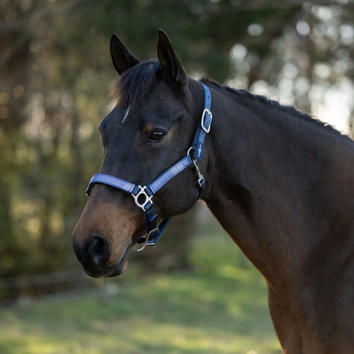 Reflective Nylon Halter with Textliene Kensington Protective Products