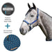 Bundle: Reflective Nylon Halter & 10' Clinician Lead Kensington Protective Products