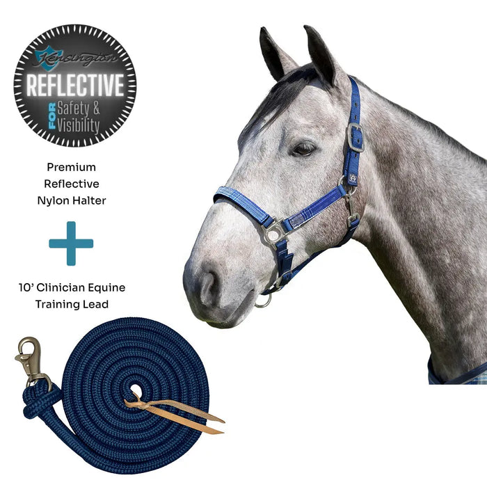 Bundle: Reflective Nylon Halter & 10' Clinician Lead Kensington Protective Products