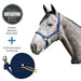 Bundle: Reflective Nylon Halter & 10' Clinician Lead Kensington Protective Products