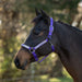 Reflective Nylon Halter with Textliene Kensington Protective Products