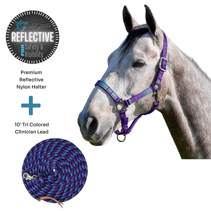 Bundle: Reflective Nylon Halter & 10' Clinician Lead Kensington Protective Products