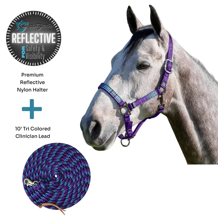 Bundle: Reflective Breakaway Nylon Halter & 10' Clinician Lead Kensington Protective Products