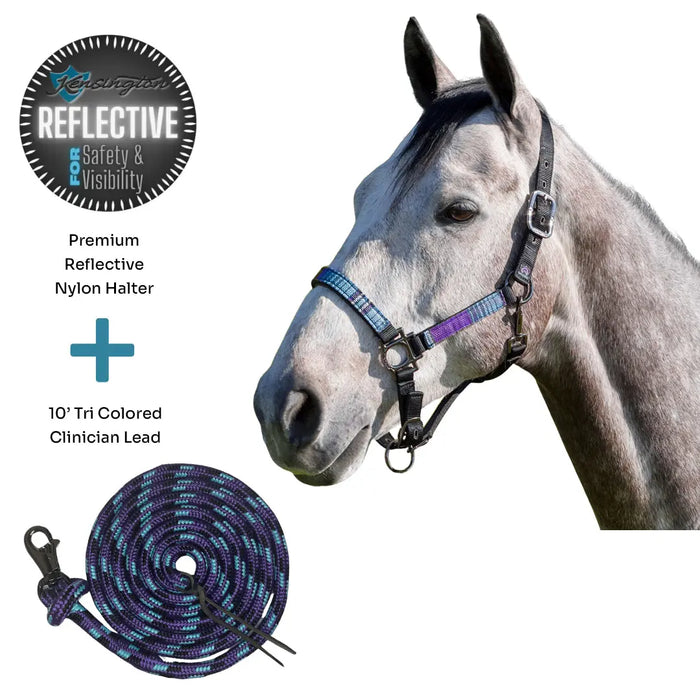 Bundle: Reflective Nylon Halter & 10' Clinician Lead Kensington Protective Products