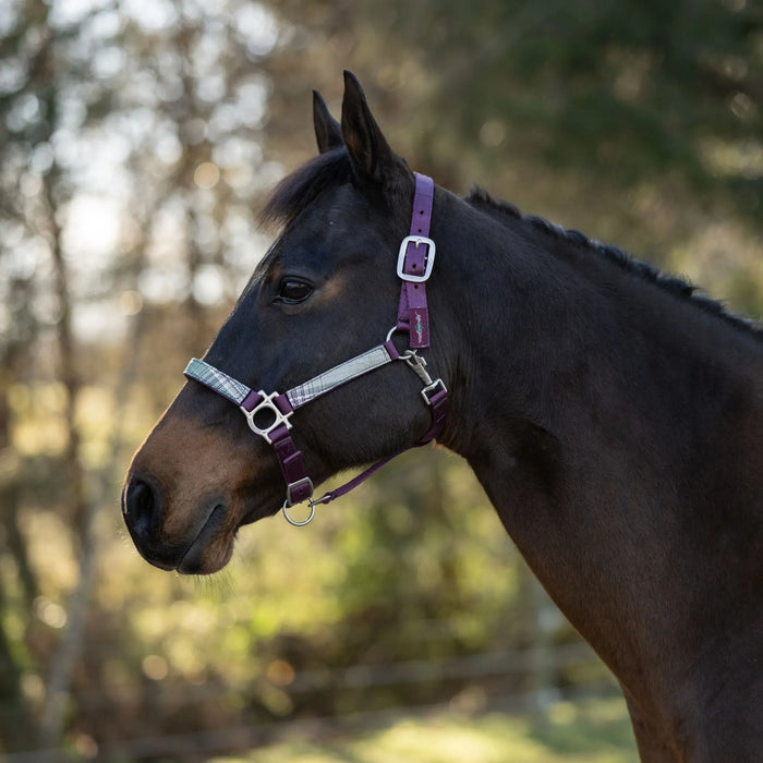 Reflective Nylon Halter with Textliene Kensington Protective Products