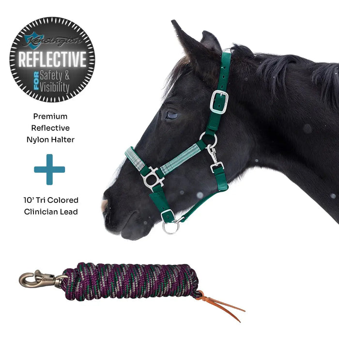 Bundle: Reflective Nylon Halter & 10' Clinician Lead Kensington Protective Products