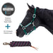 Bundle: Reflective Nylon Halter & 10' Clinician Lead Kensington Protective Products