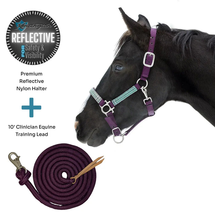 Bundle: Reflective Nylon Halter & 10' Clinician Lead Kensington Protective Products