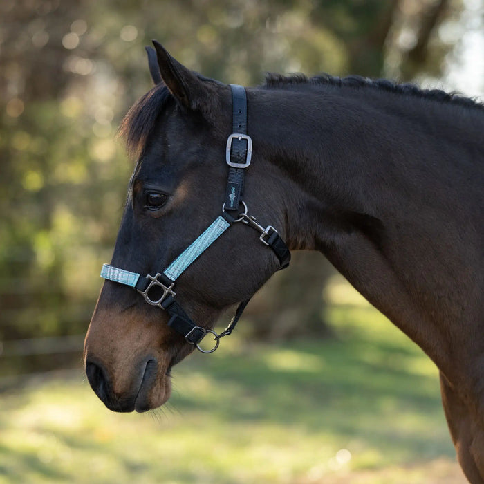 Reflective Nylon Halter with Textliene Kensington Protective Products