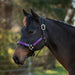 Reflective Nylon Halter with Textilene
Kensington Protective Products