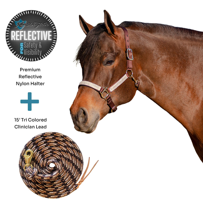 Bundle: Reflective Nylon Halter & 15' Clinician Lead