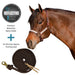 Bundle: Reflective Nylon Halter & 10' Clinician Lead Kensington Protective Products