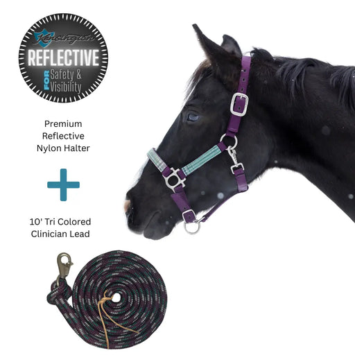 Halter, reflective, adjustable chin, Throat snap