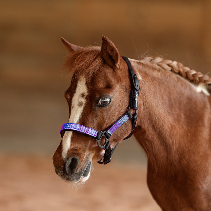 Reflective Nylon Halter with Textliene