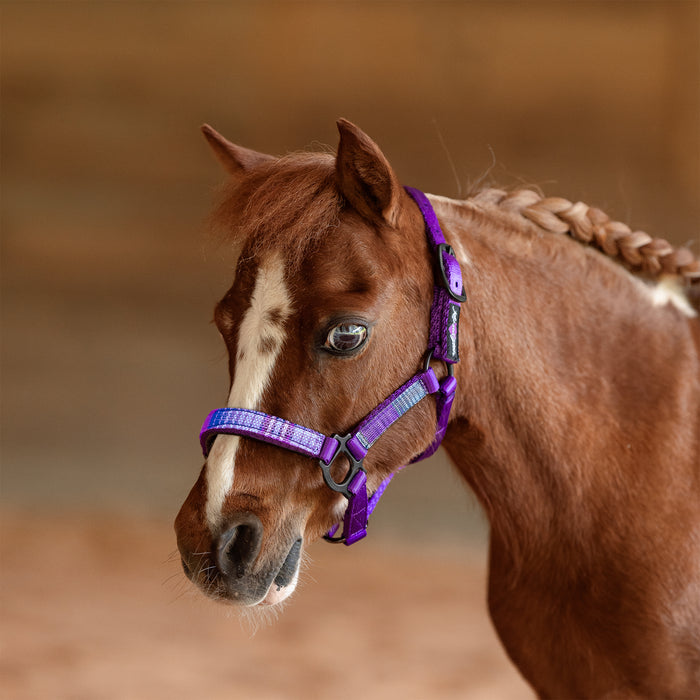 Reflective Nylon Halter with Textliene