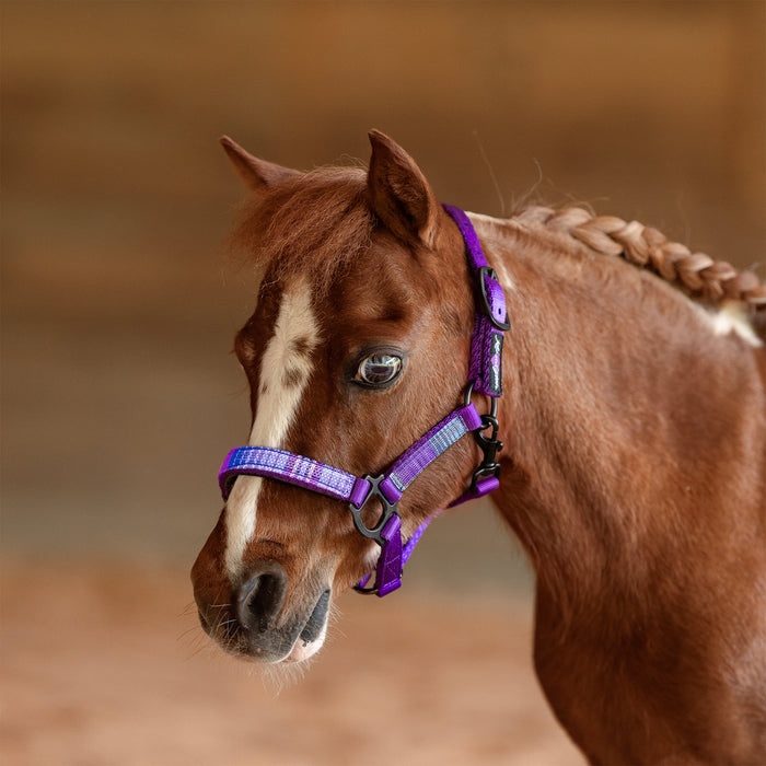 Reflective Nylon Halter with Textliene Mini
