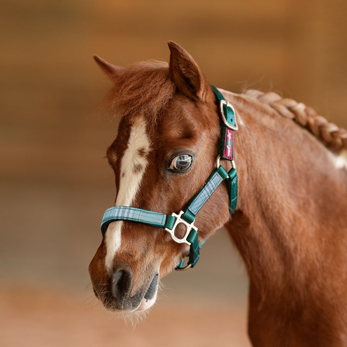 Reflective Nylon Halter with Textliene