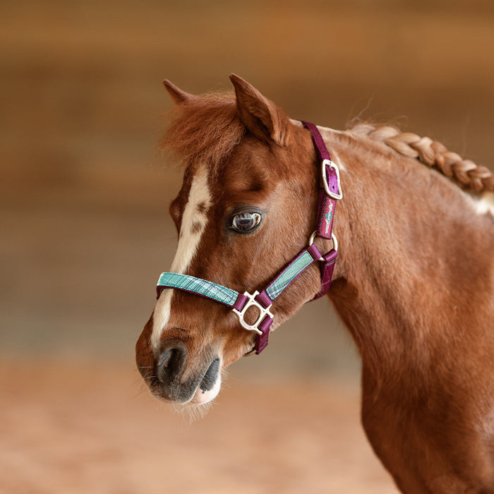 Reflective Nylon Halter with Textliene