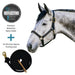 Bundle: Reflective Nylon Halter & 10' Clinician Lead Kensington Protective Products