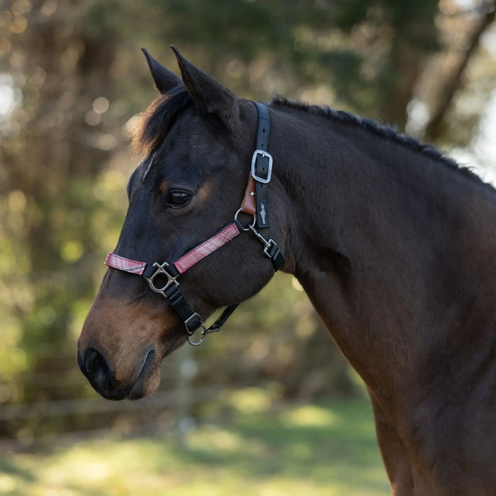Reflective Breakaway Nylon Halter with Textliene Kensington Protective Products