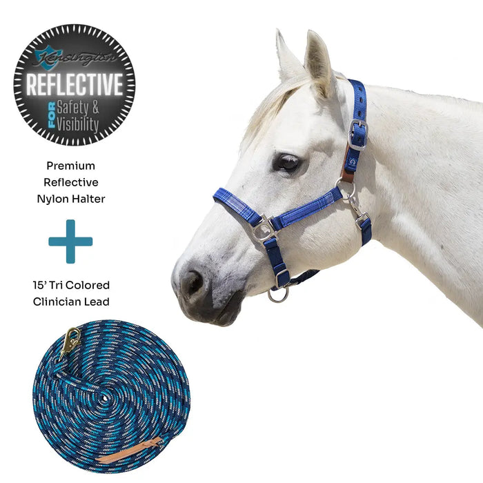 Bundle: Reflective Breakaway Nylon Halter & 10' Clinician Lead Kensington Protective Products