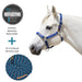 Bundle: Reflective Breakaway Nylon Halter & 10' Clinician Lead Kensington Protective Products