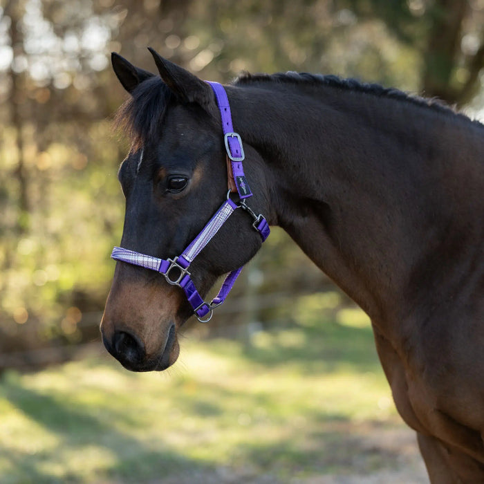 Reflective Breakaway Nylon Halter with Textliene Kensington Protective Products