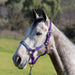 Reflective Breakaway Nylon Halter with Textliene Kensington Protective Products