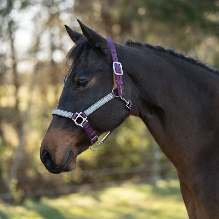 Reflective Breakaway Nylon Halter with Textliene Kensington Protective Products
