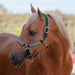 Reflective Breakaway Nylon Halter with Textliene Kensington Protective Products