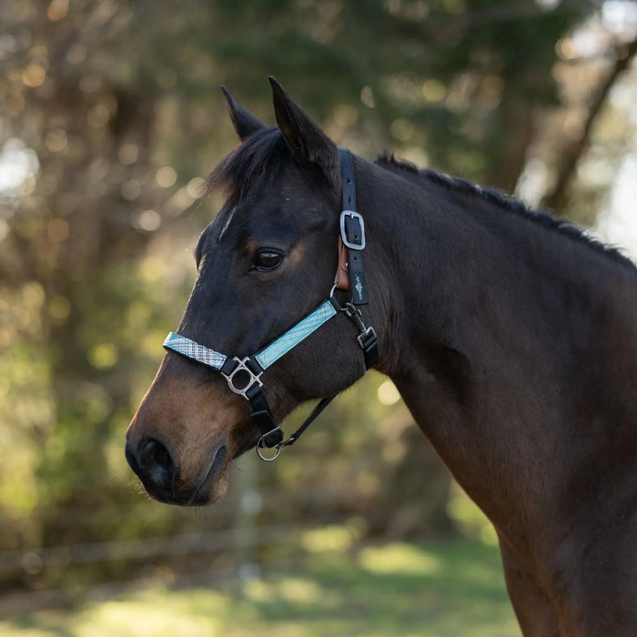 Reflective Breakaway Nylon Halter with Textliene Kensington Protective Products