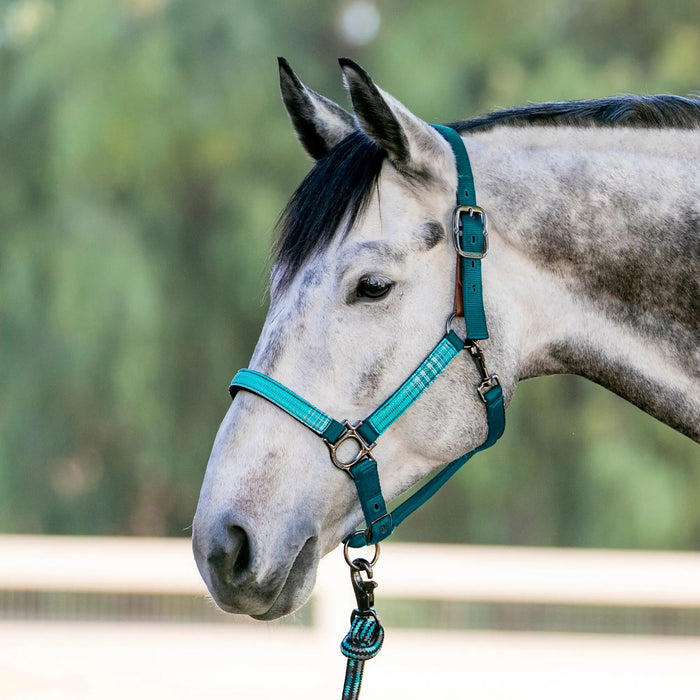 Reflective Breakaway Nylon Halter with Textliene Kensington Protective Products