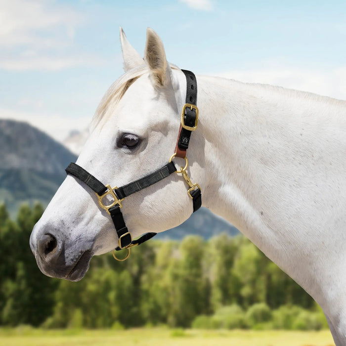 Reflective Breakaway Nylon Halter with Textliene Kensington Protective Products