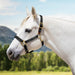 Reflective Breakaway Nylon Halter with Textliene Kensington Protective Products