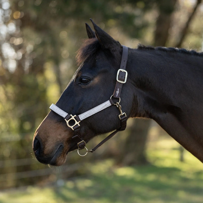Reflective Breakaway Nylon Halter with Textliene Kensington Protective Products