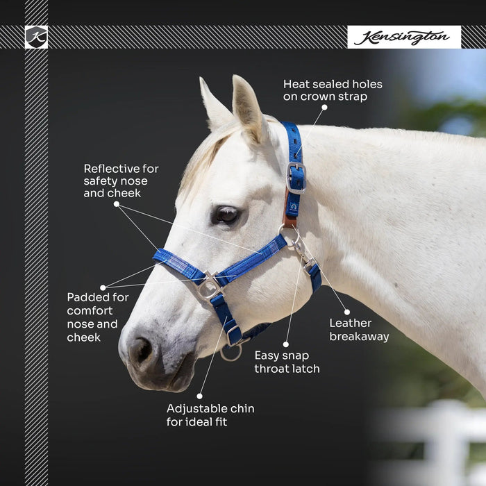 Reflective Breakaway Nylon Halter with Textliene Kensington Protective Products